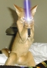 Benutzeravatar